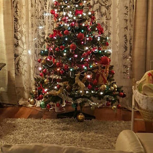 Meet your Posher, Rachna